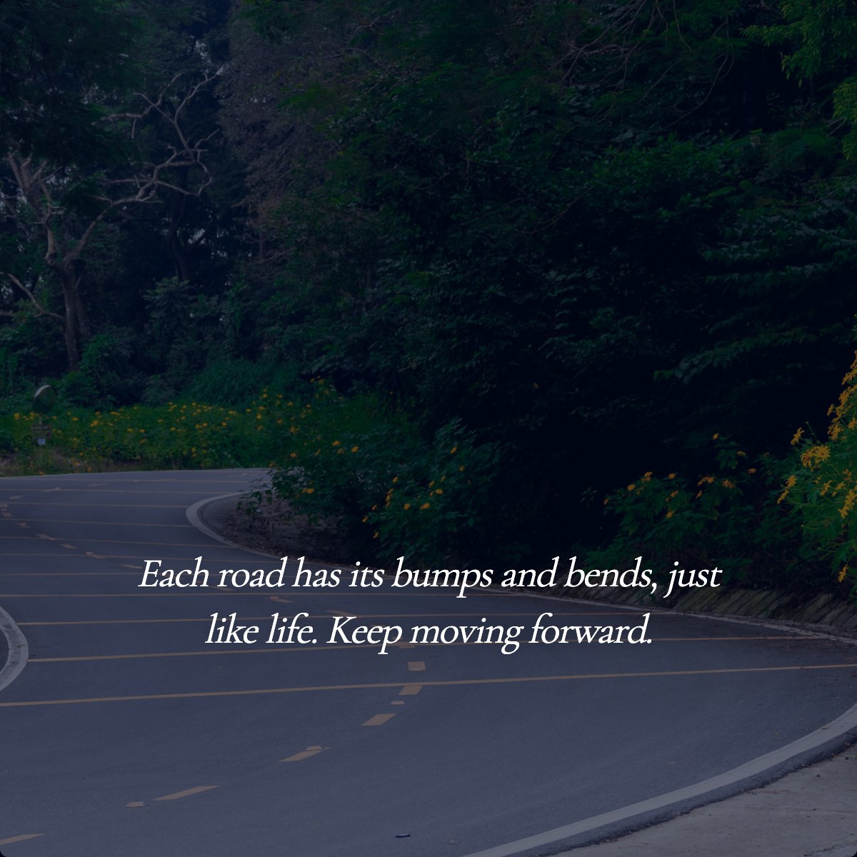 Each road has its bumps and bends, just like life. Keep moving forward.