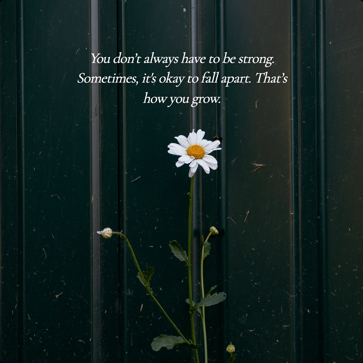 You don’t always have to be strong. Sometimes, it's okay to fall apart. That’s how you grow.
